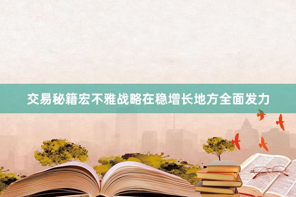 交易秘籍宏不雅战略在稳增长地方全面发力