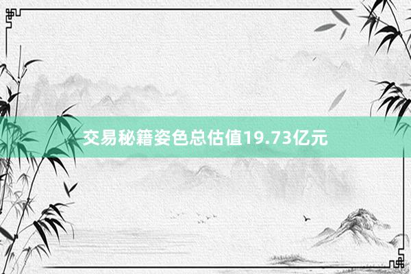 交易秘籍姿色总估值19.73亿元