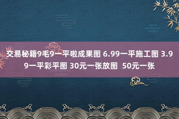 交易秘籍9毛9一平啦成果图 6.99一平施工图 3.99一平彩平图 30元一张放图  50元一张