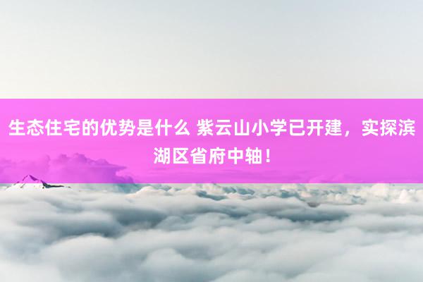 生态住宅的优势是什么 紫云山小学已开建，实探滨湖区省府中轴！