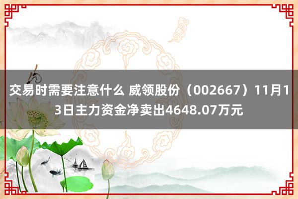 交易时需要注意什么 威领股份（002667）11月13日主力资金净卖出4648.07万元