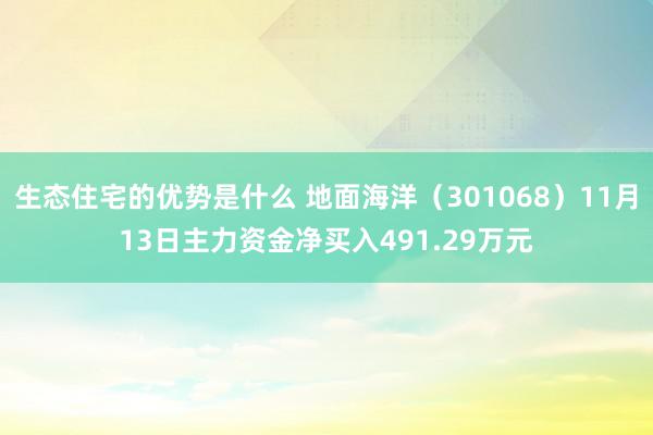 生态住宅的优势是什么 地面海洋（301068）11月13日主力资金净买入491.29万元