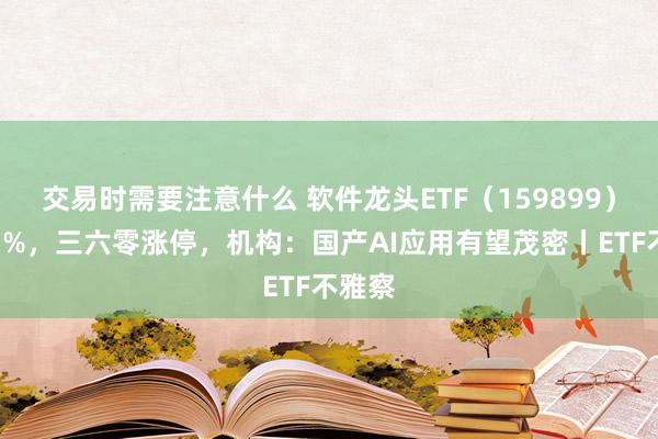 交易时需要注意什么 软件龙头ETF（159899）涨超1%，三六零涨停，机构：国产AI应用有望茂密丨ETF不雅察