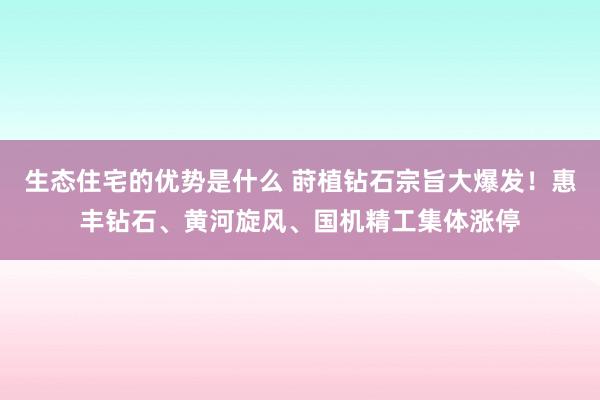 生态住宅的优势是什么 莳植钻石宗旨大爆发！惠丰钻石、黄河旋风、国机精工集体涨停