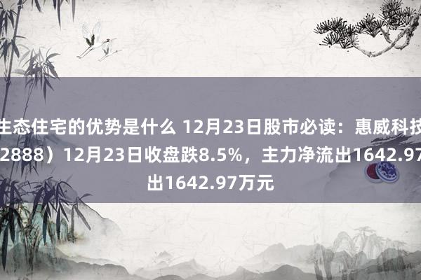 生态住宅的优势是什么 12月23日股市必读：惠威科技（002888）12月23日收盘跌8.5%，主力净流出1642.97万元