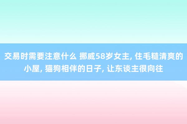 交易时需要注意什么 挪威58岁女主, 住毛糙清爽的小屋, 猫狗相伴的日子, 让东谈主很向往