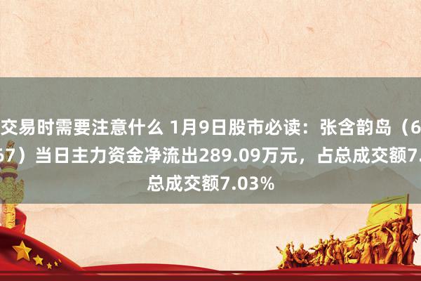 交易时需要注意什么 1月9日股市必读：张含韵岛（603567）当日主力资金净流出289.09万元，占总成交额7.03%