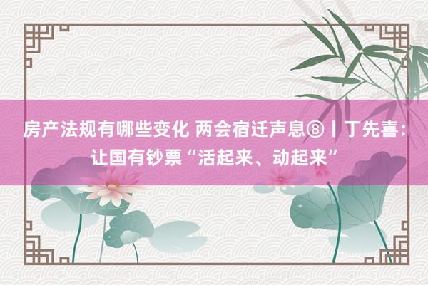 房产法规有哪些变化 两会宿迁声息⑧丨丁先喜：让国有钞票“活起来、动起来”