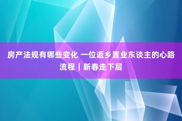 房产法规有哪些变化 一位返乡置业东谈主的心路流程｜新春走下层