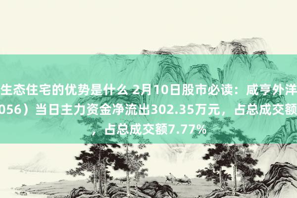 生态住宅的优势是什么 2月10日股市必读：咸亨外洋（605056）当日主力资金净流出302.35万元，占总成交额7.77%