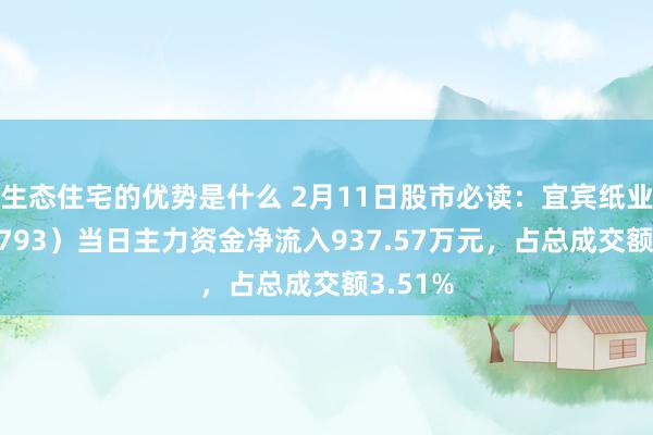 生态住宅的优势是什么 2月11日股市必读：宜宾纸业（600793）当日主力资金净流入937.57万元，占总成交额3.51%