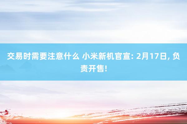 交易时需要注意什么 小米新机官宣: 2月17日, 负责开售!