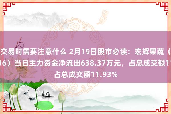 交易时需要注意什么 2月19日股市必读：宏辉果蔬（603336）当日主力资金净流出638.37万元，占总成交额11.93%