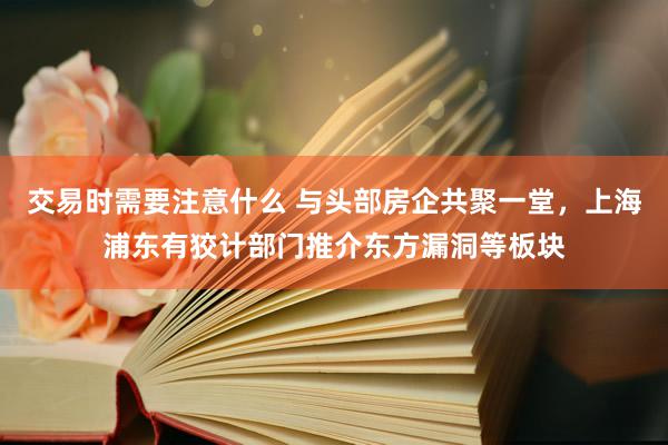 交易时需要注意什么 与头部房企共聚一堂，上海浦东有狡计部门推介东方漏洞等板块