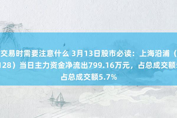 交易时需要注意什么 3月13日股市必读：上海沿浦（605128）当日主力资金净流出799.16万元，占总成交额5.7%